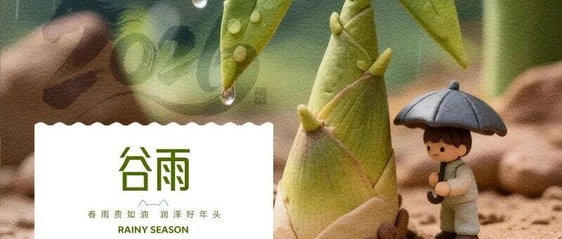 华兴宠物
