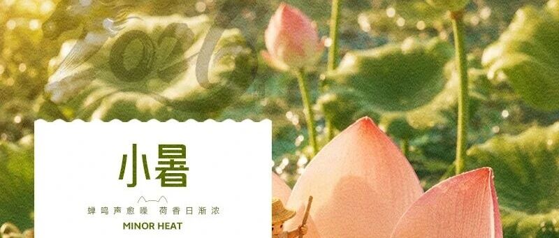 华兴宠物