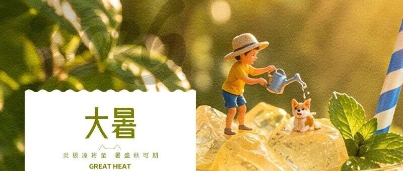 华兴宠物