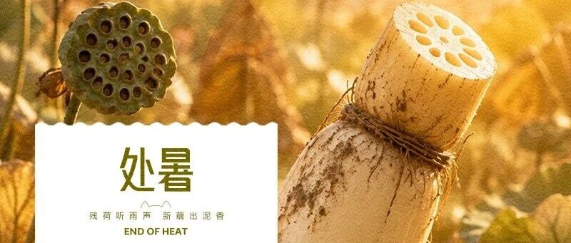 华兴宠物